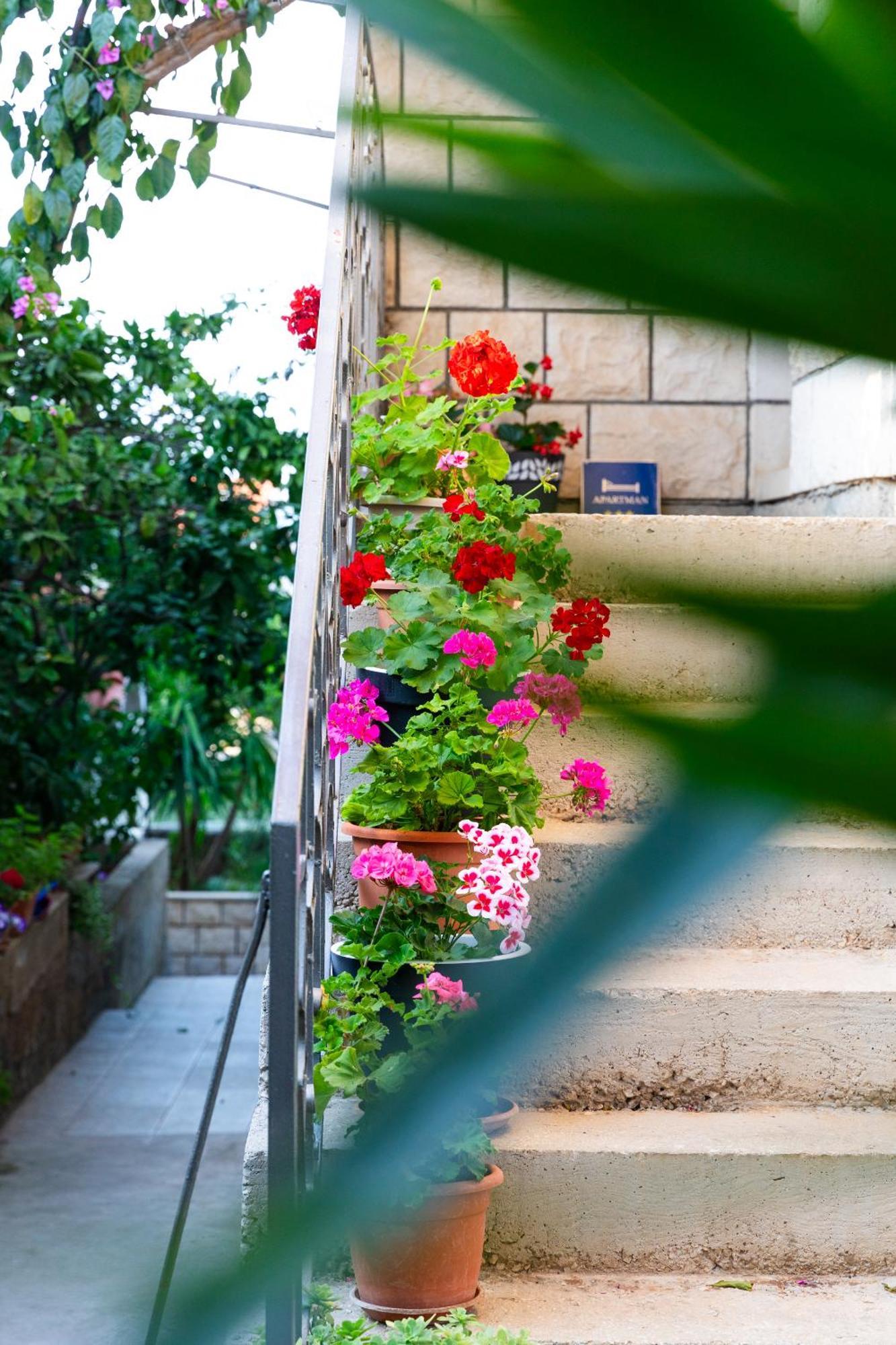 Martic Apartment Supetar