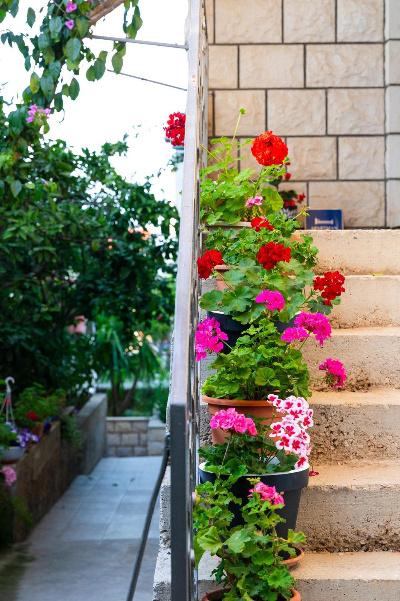 Apartment Martic Supetar
